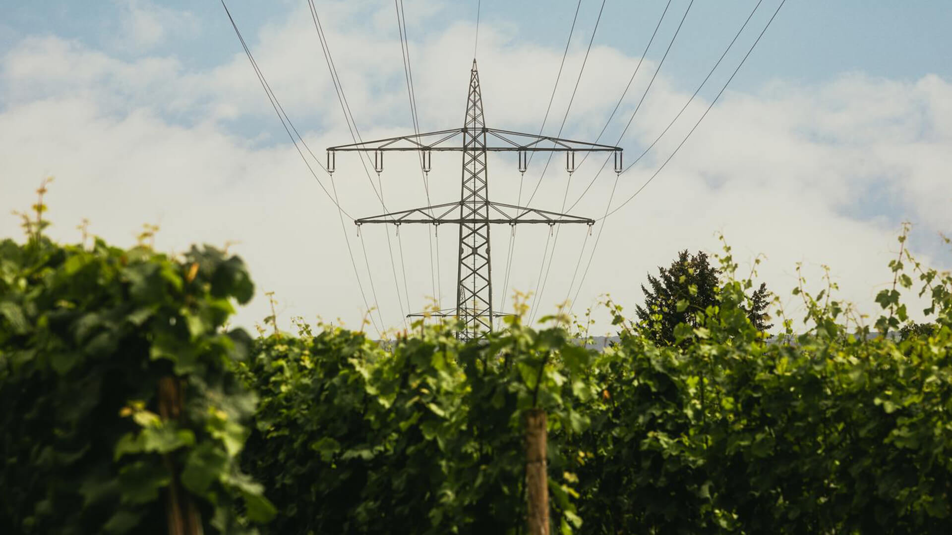 Erfahren Sie mehr über unsere Arbeit für E.ON